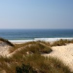 widok-na-ocean-z-parku-naturalnego-reserva-natural-das-dunas-de-sao-jacinto-niedaleko-aveiro-V1_MAIN-322