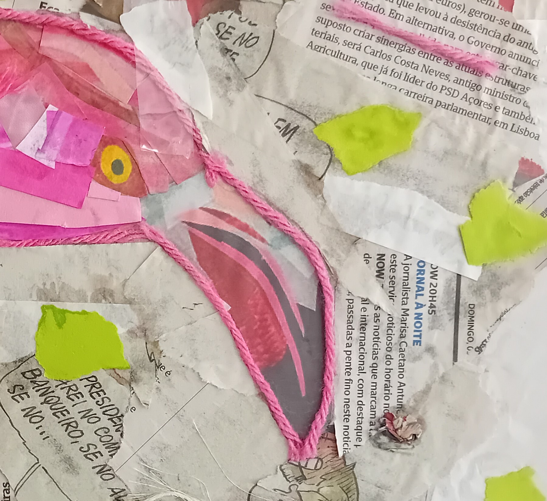 Flamingo detalhe