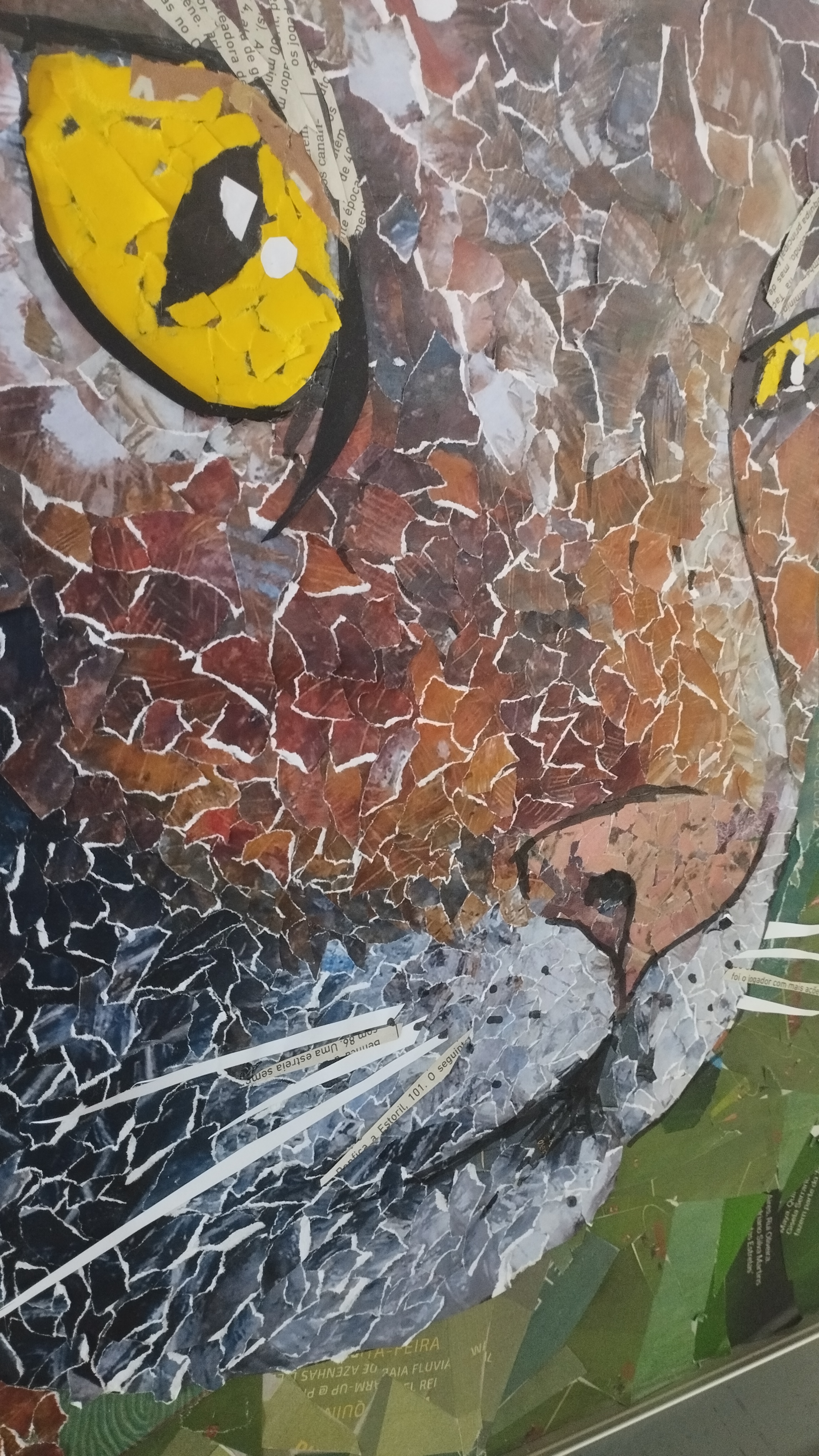 Lince Ibérico 2