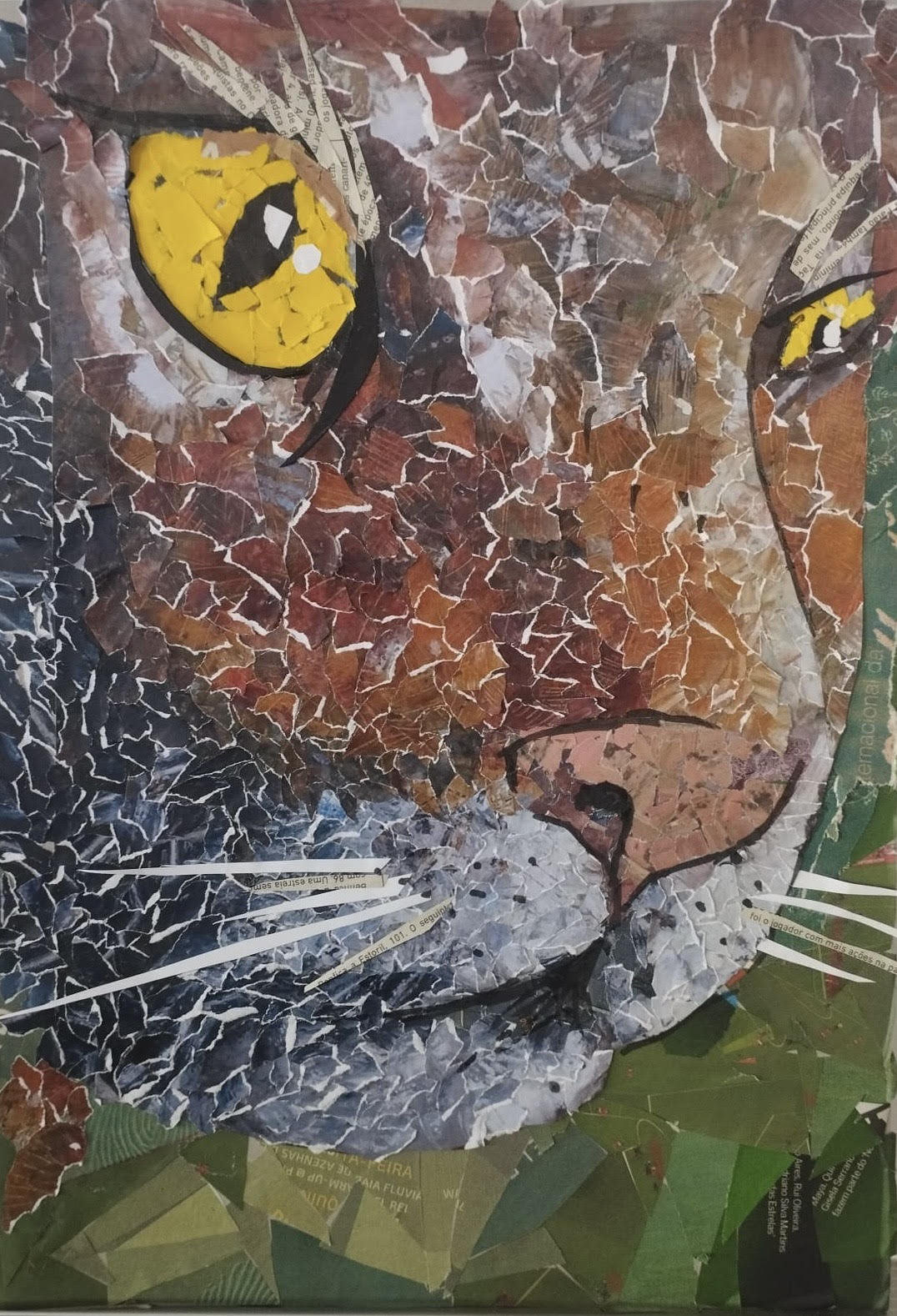 Lince Ibérico