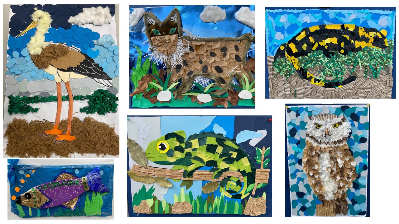 Collage final das 6 turmas