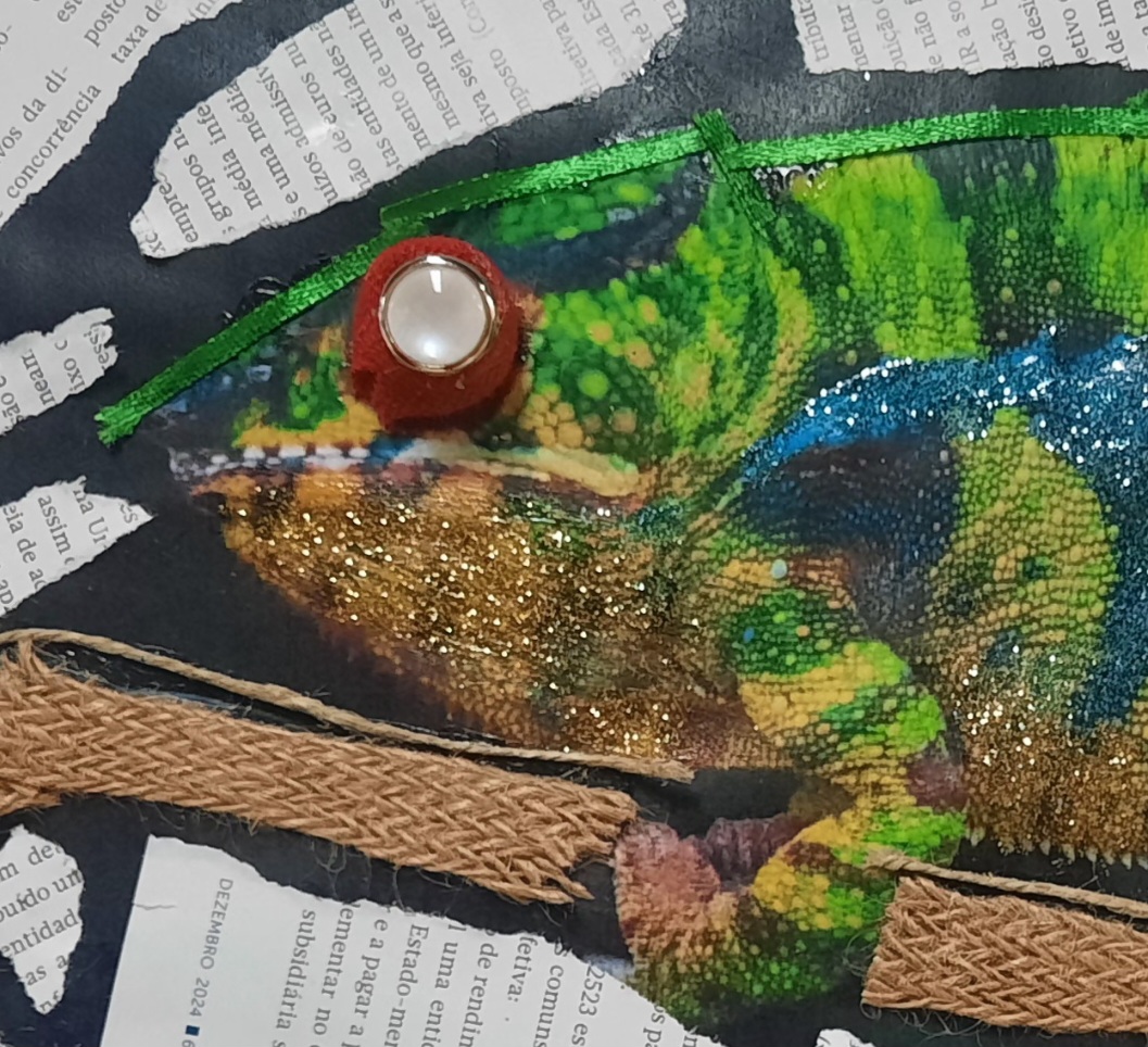 Colagem de diversos materiais - parte anterior