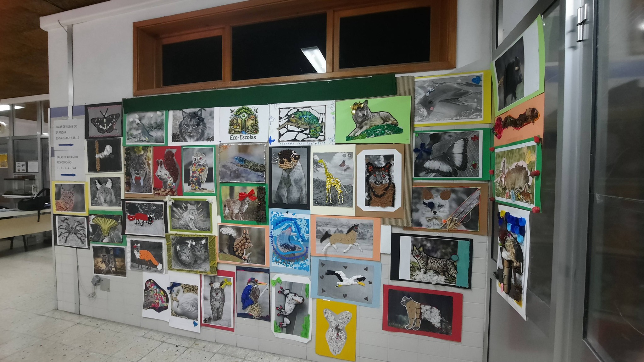 Exposição dos trabalhos no Placar Eco Escolas