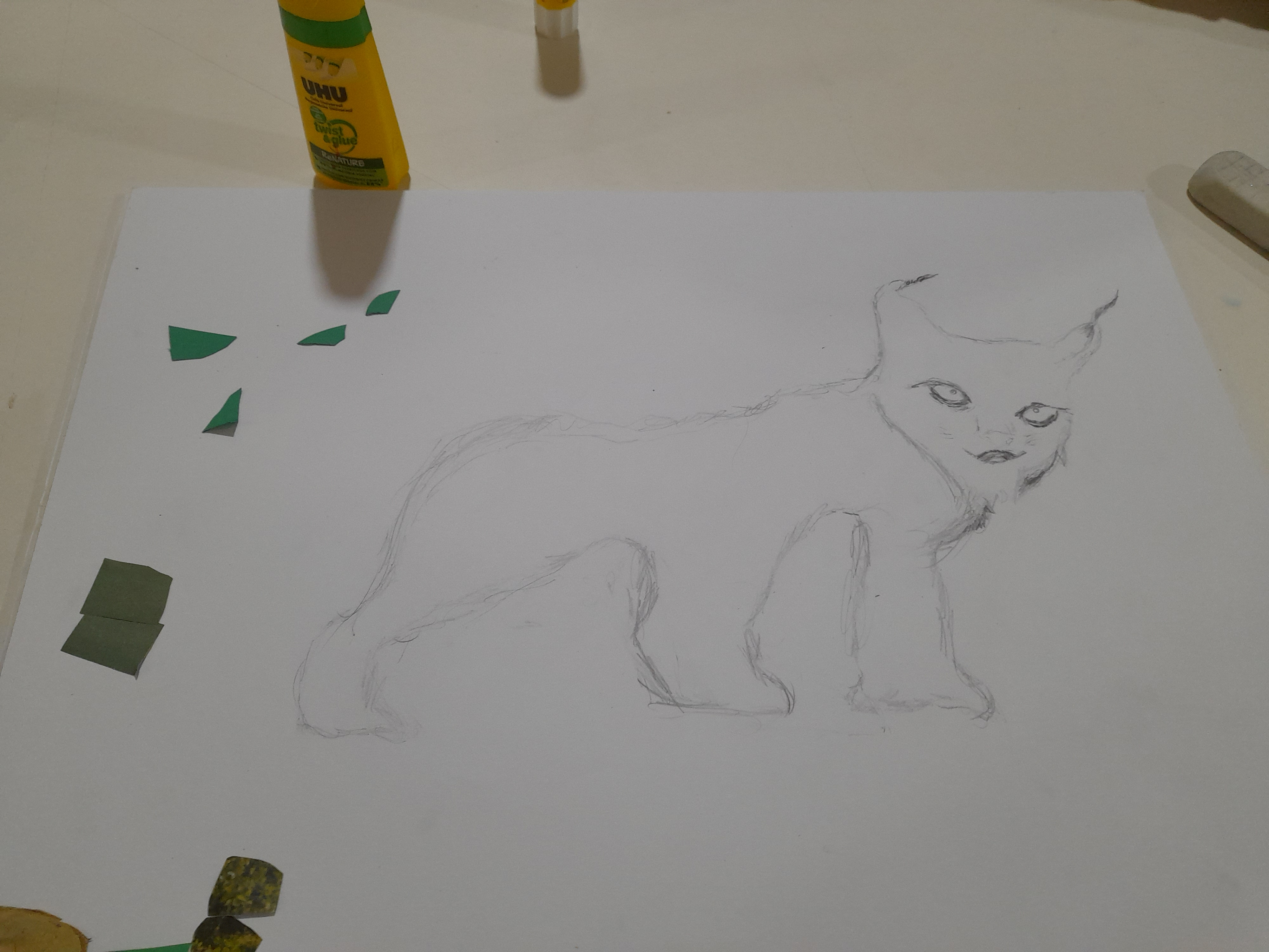 Desenho do animal escolhido.