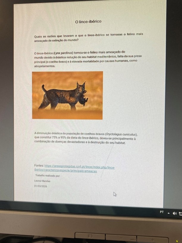 Trabalho de pesquisa