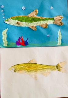 Trabalho final em comparação com a imagem original