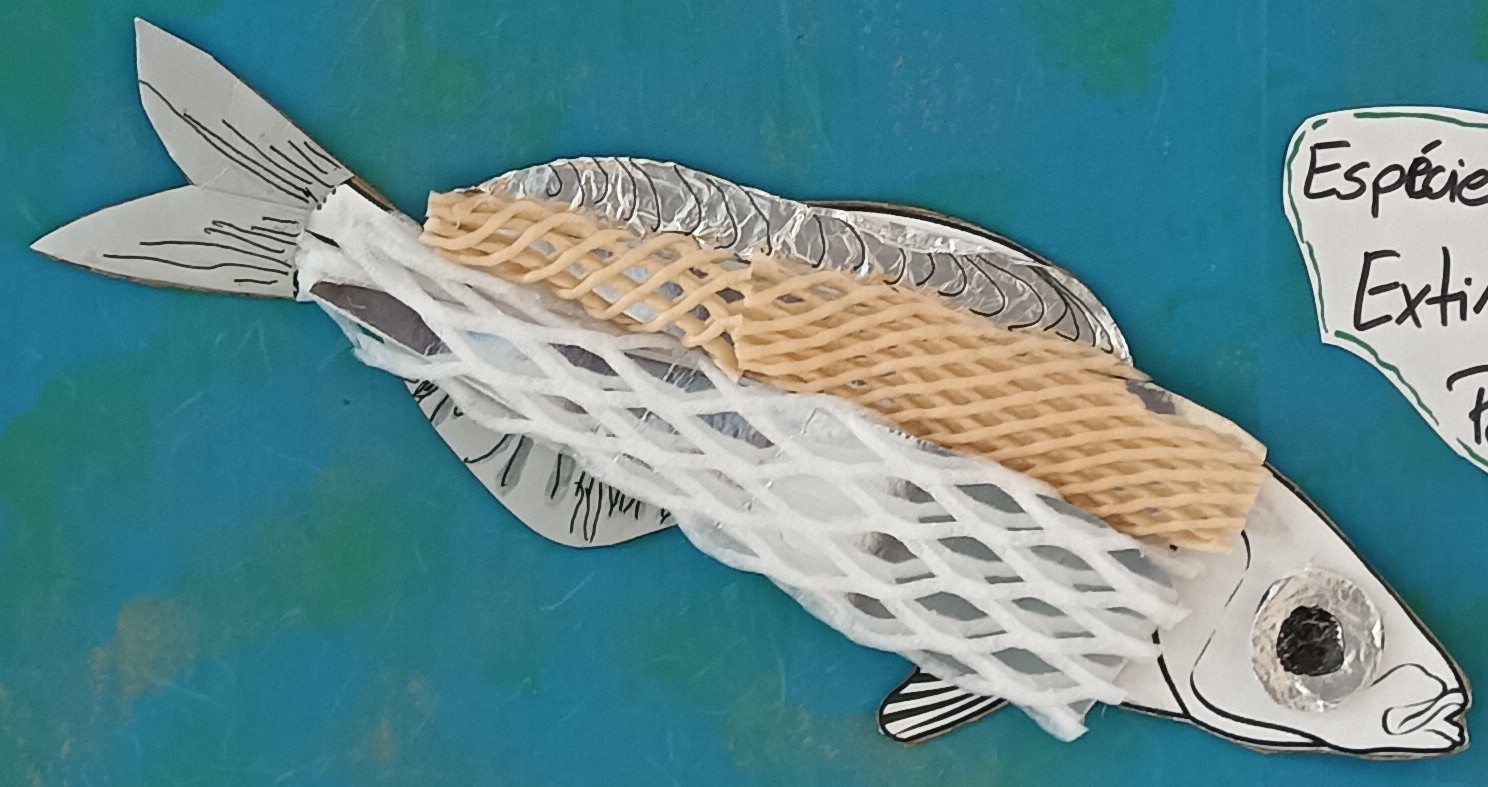 Boga