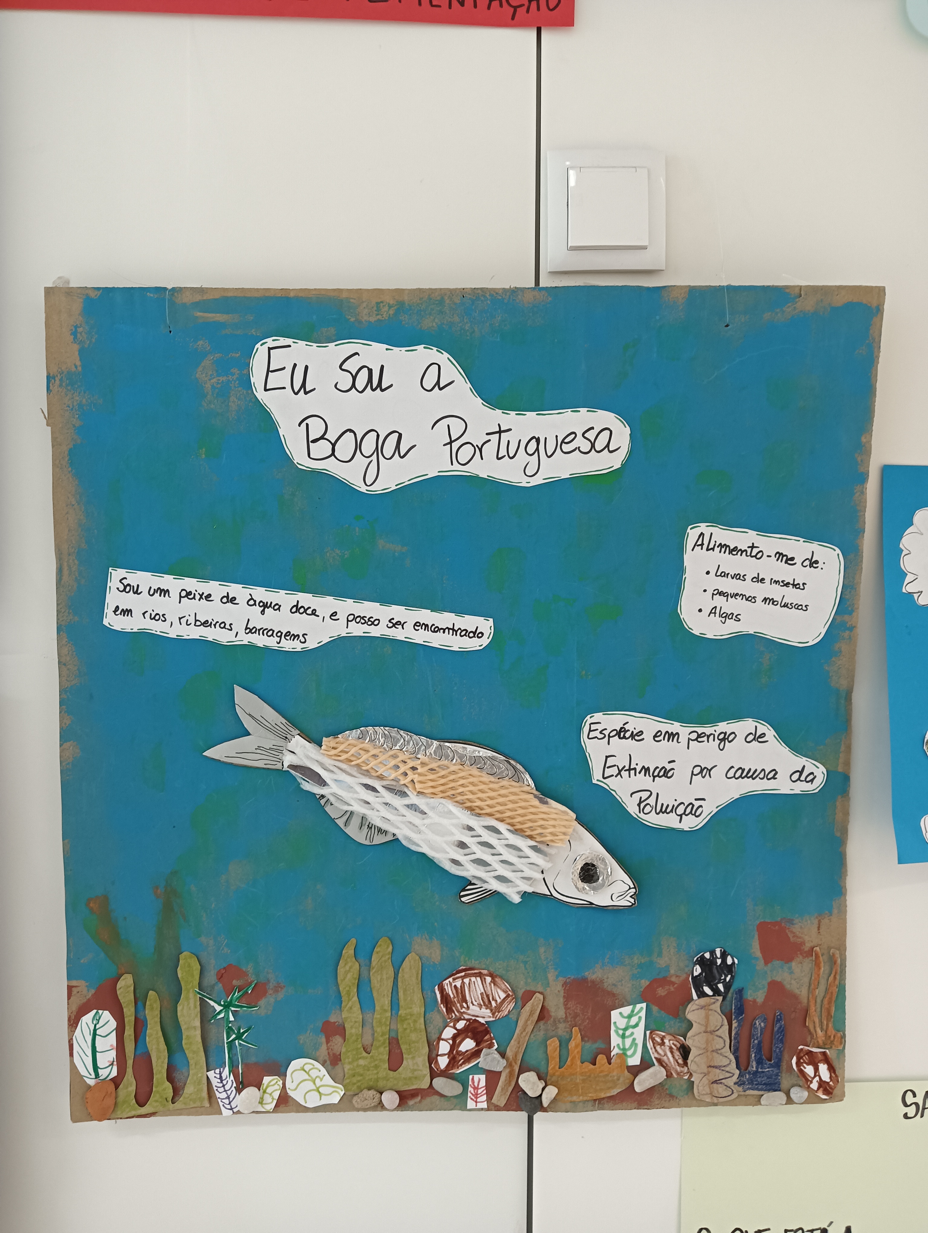 Boga Portuguesa