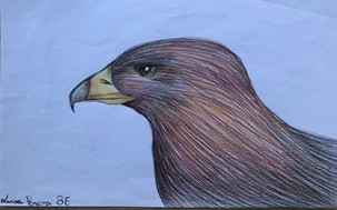 Desenho inicial