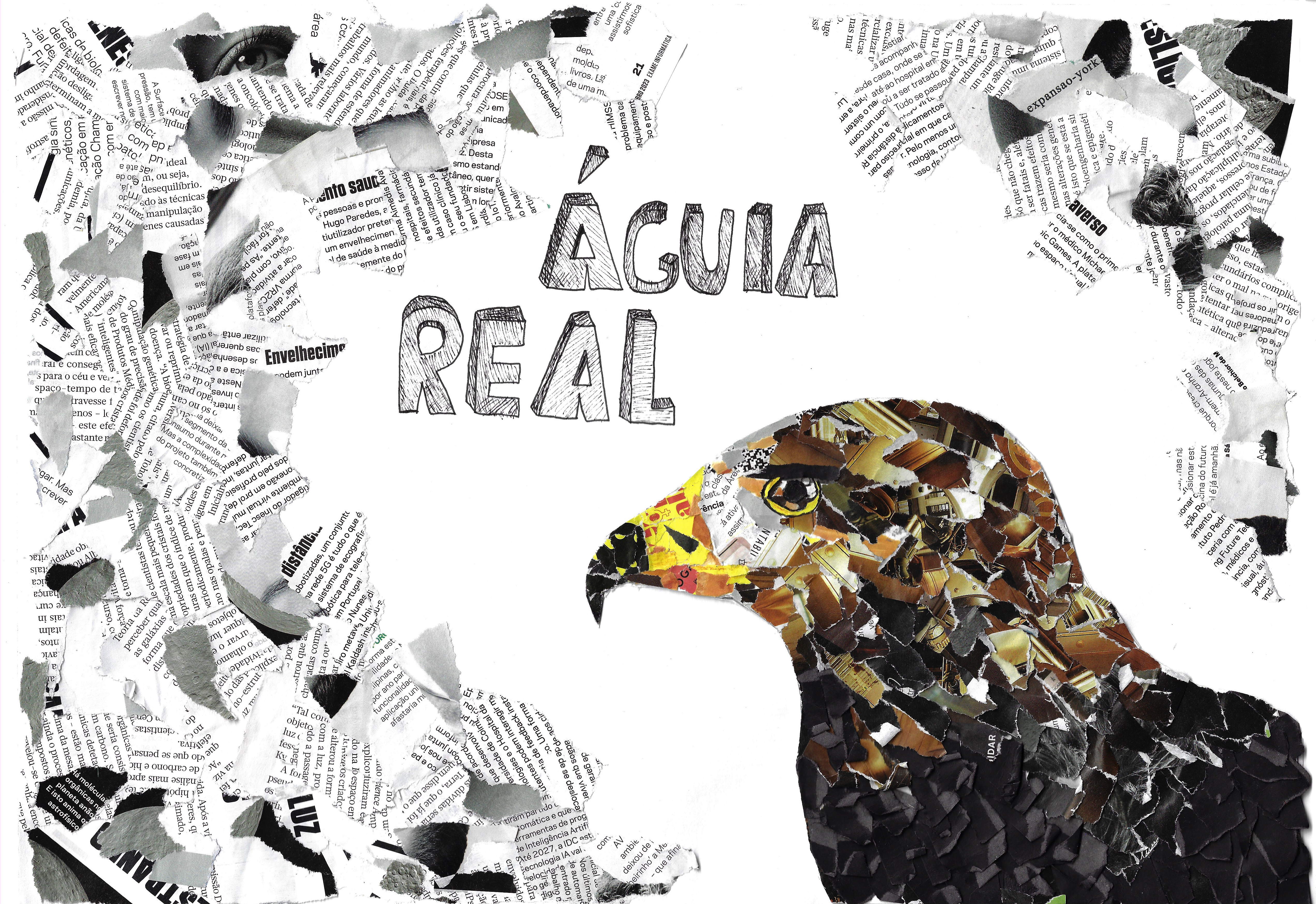 Trabalho final- Águia real