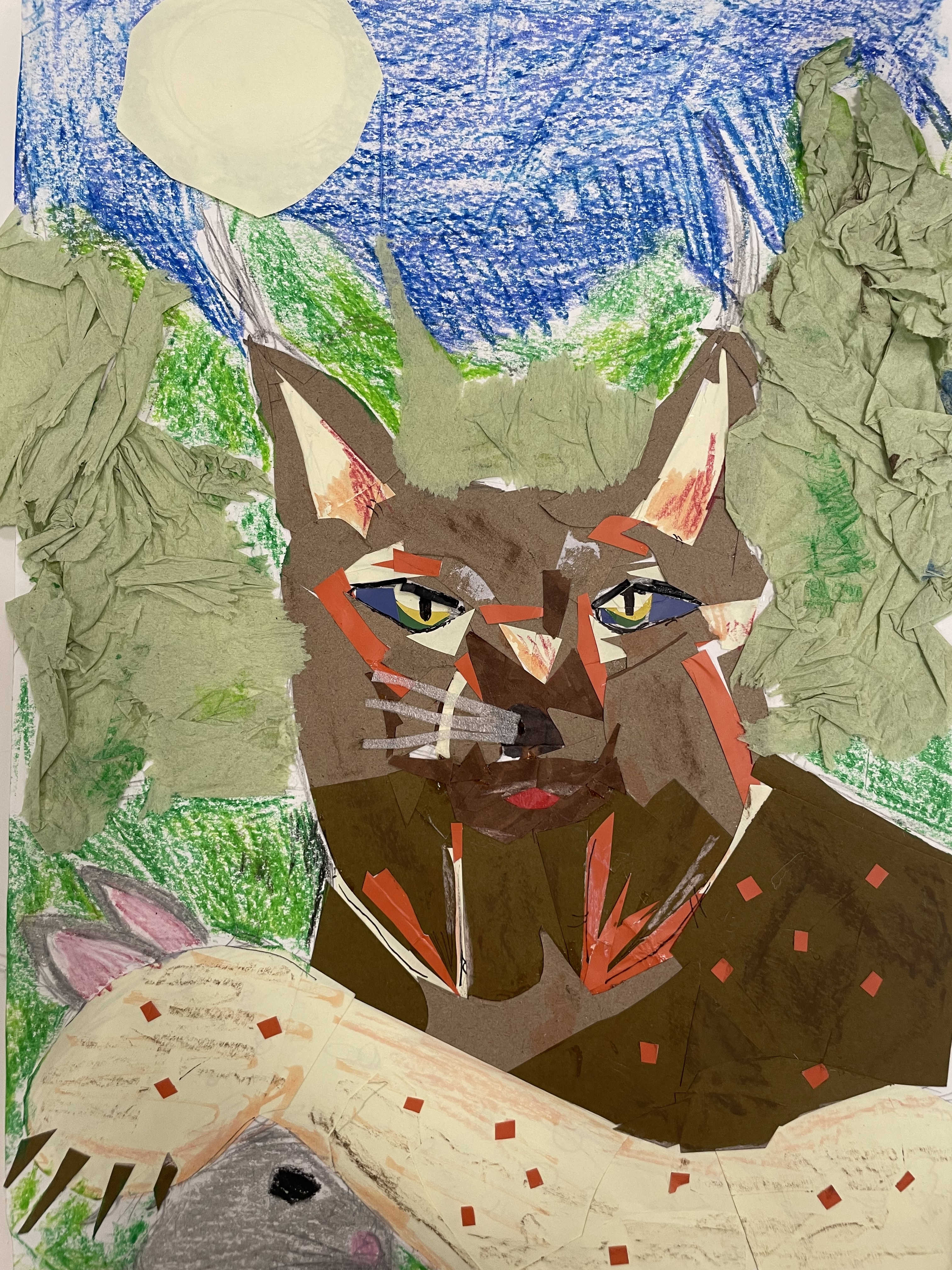 Collage 2 - Lynx pardinus