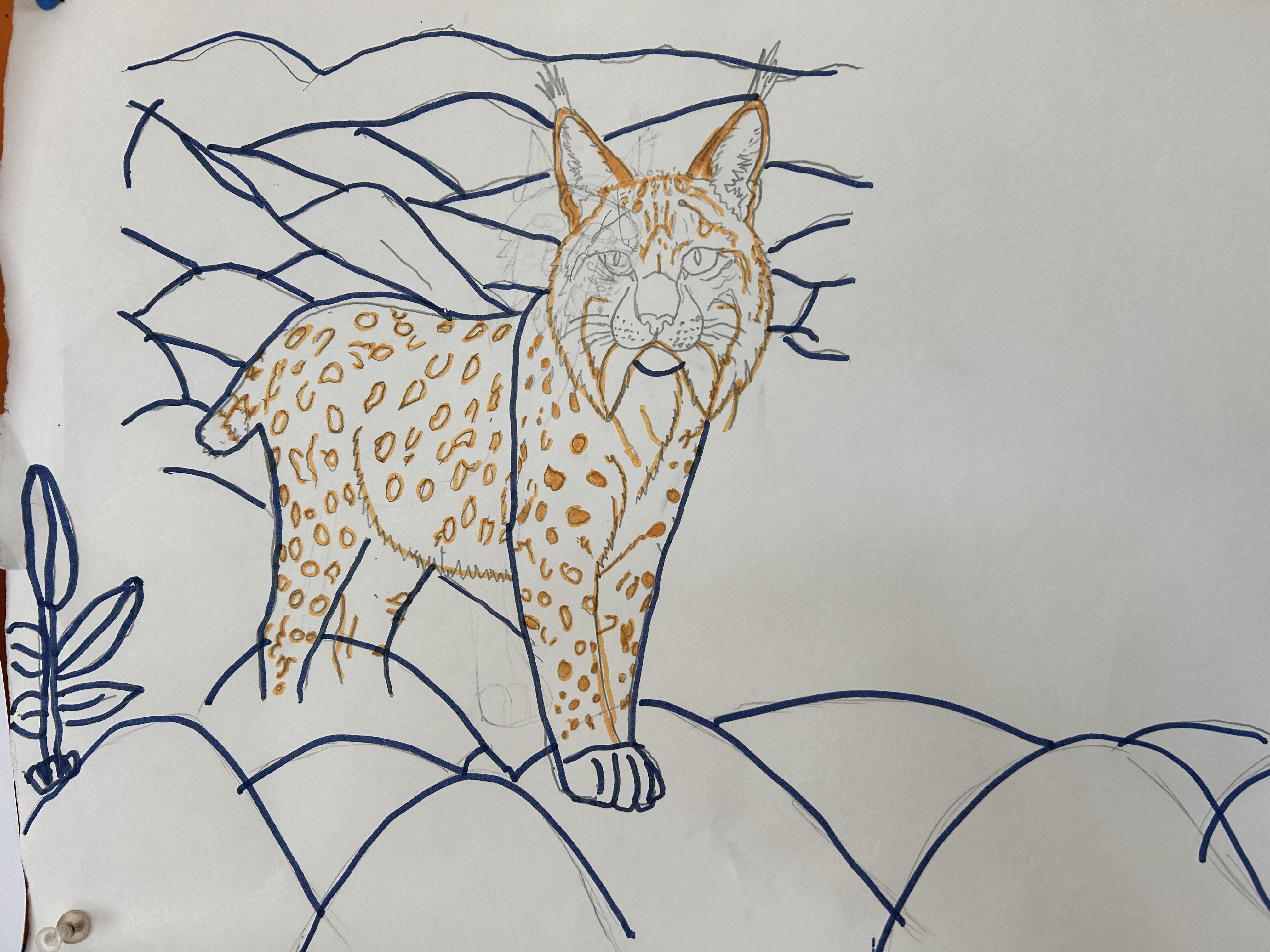 Início do desenho
