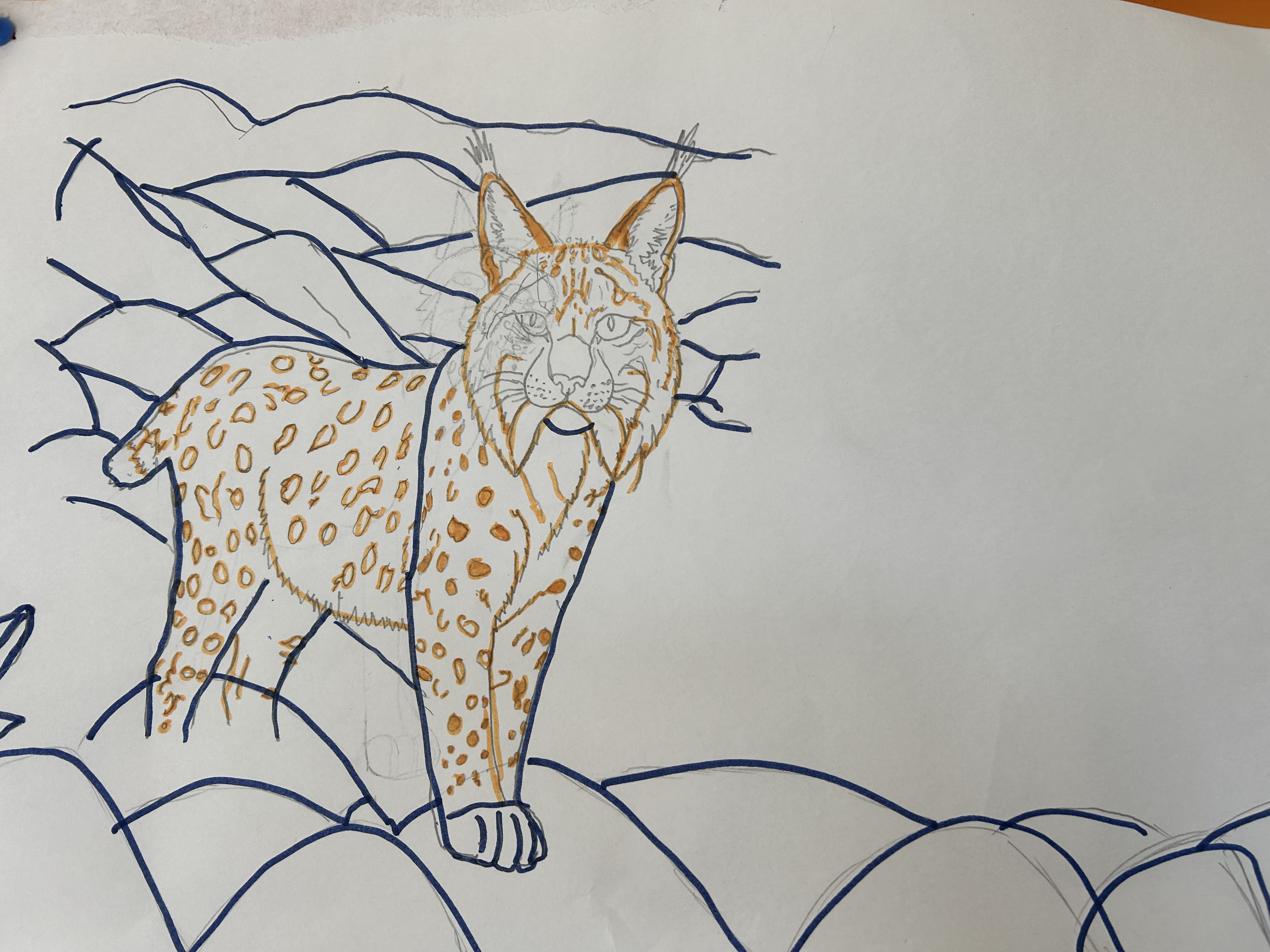 Desenho do Lince e utilização do marcador para definir os limites das colagem