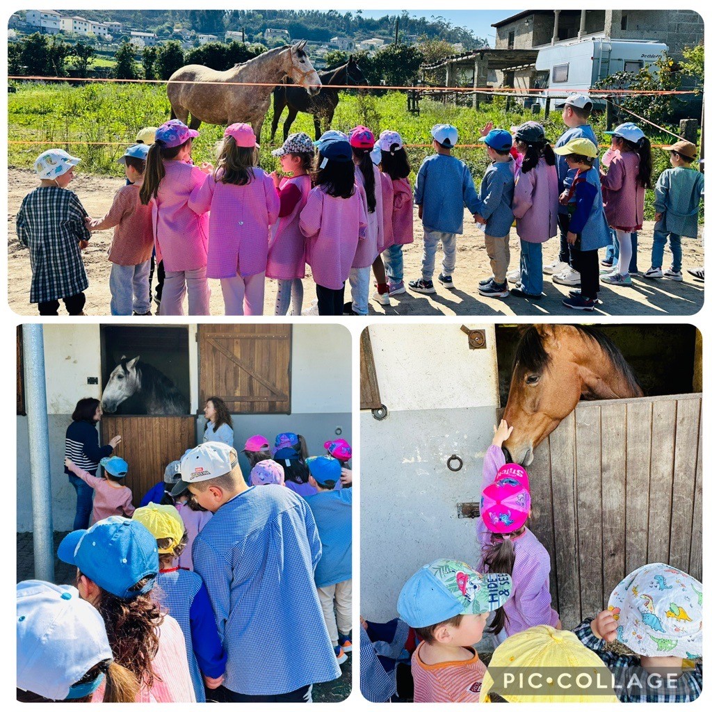 Visita à Casada Qintã - centro hípico de Vilarinho.