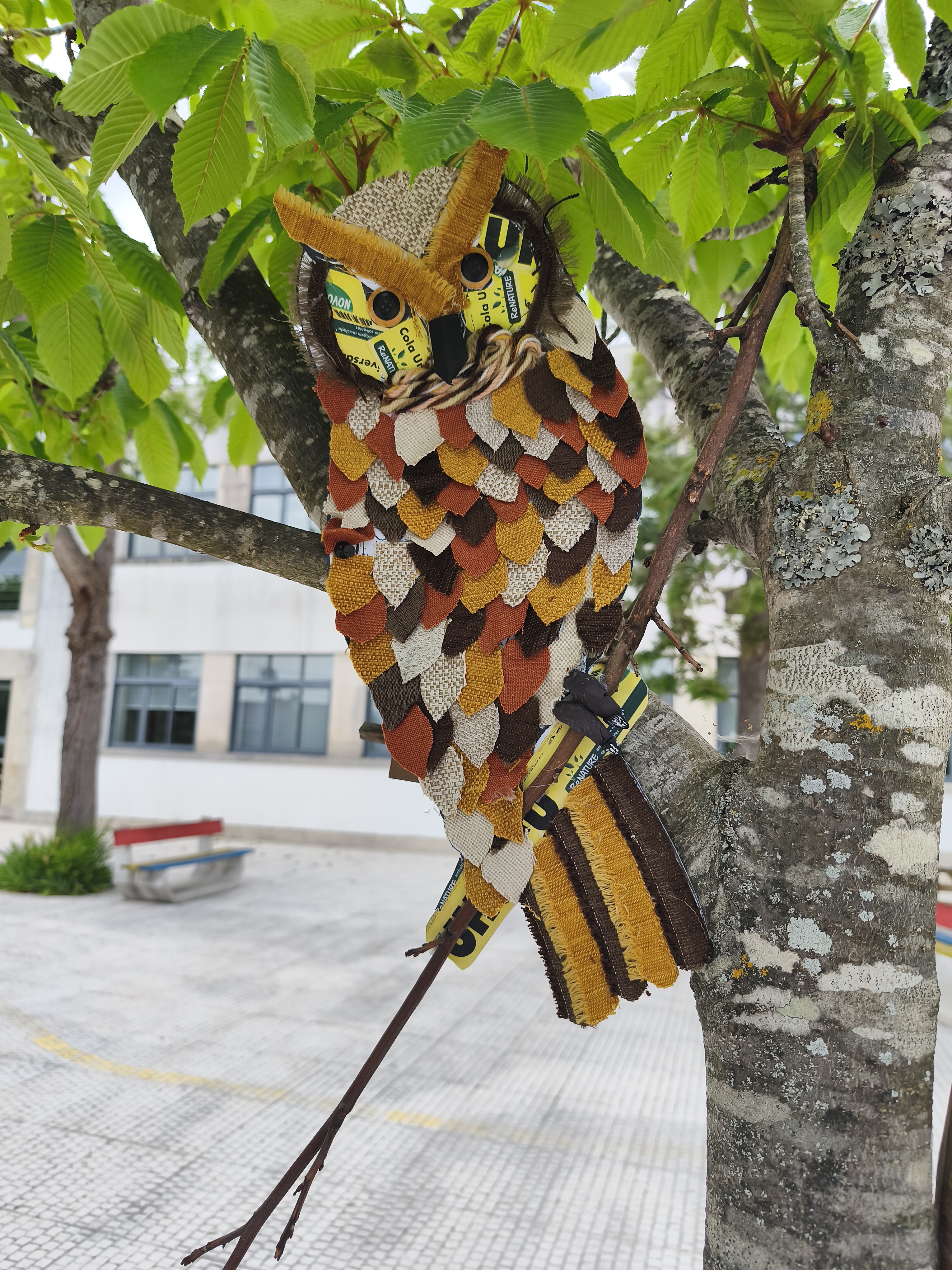 Bufo Real - Na árvore do recreio