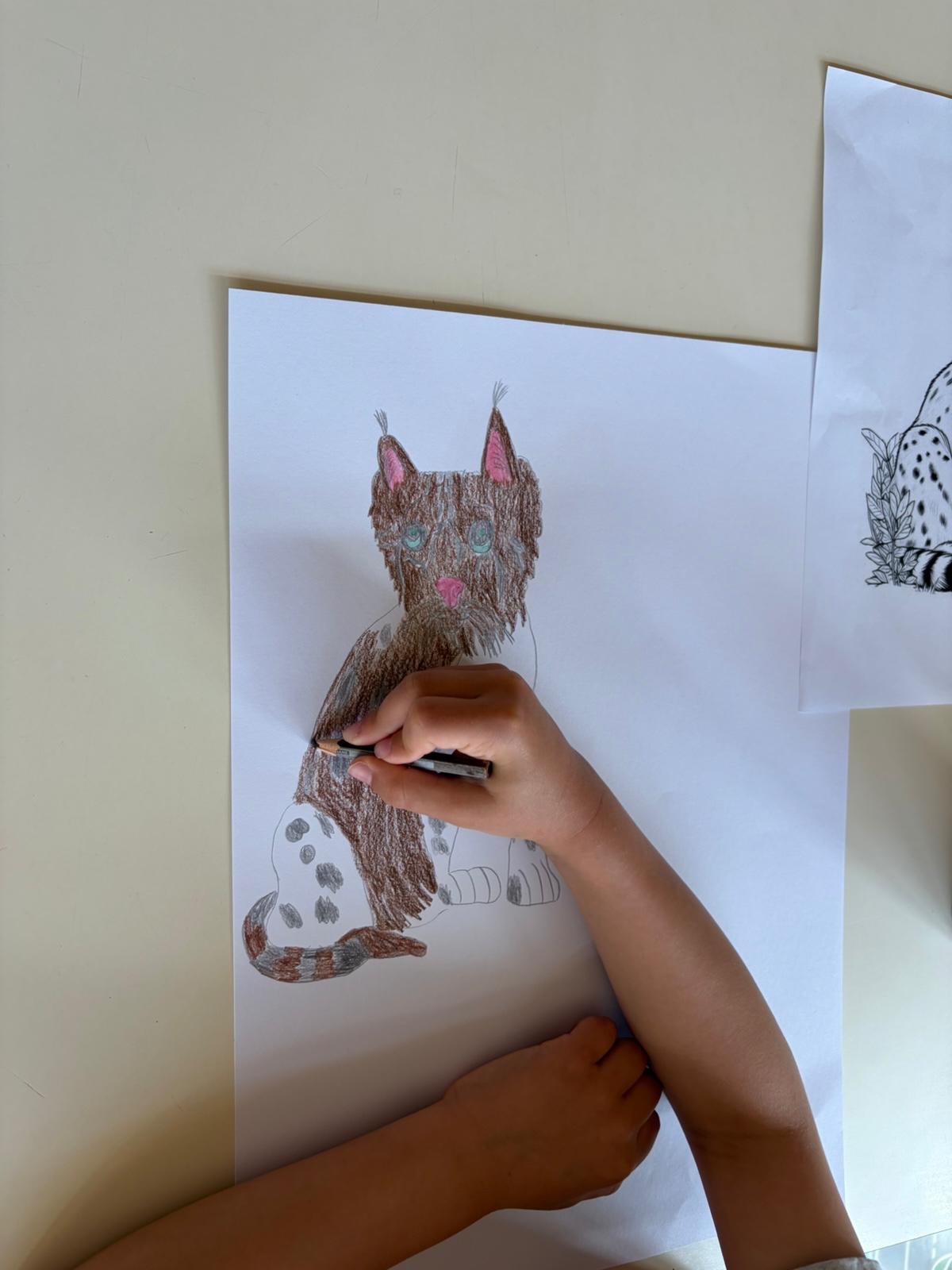 Desenho do animal com lápis de cor e lápis de cera, definindo os contornos e características principais.