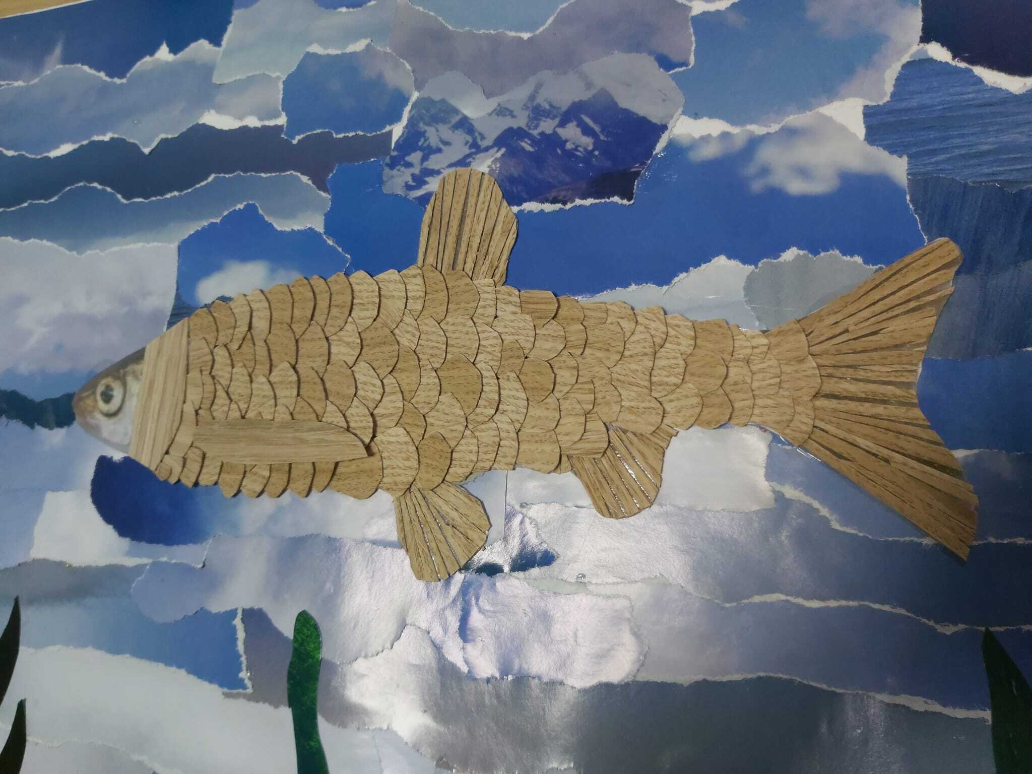 Peixe pavimentado
