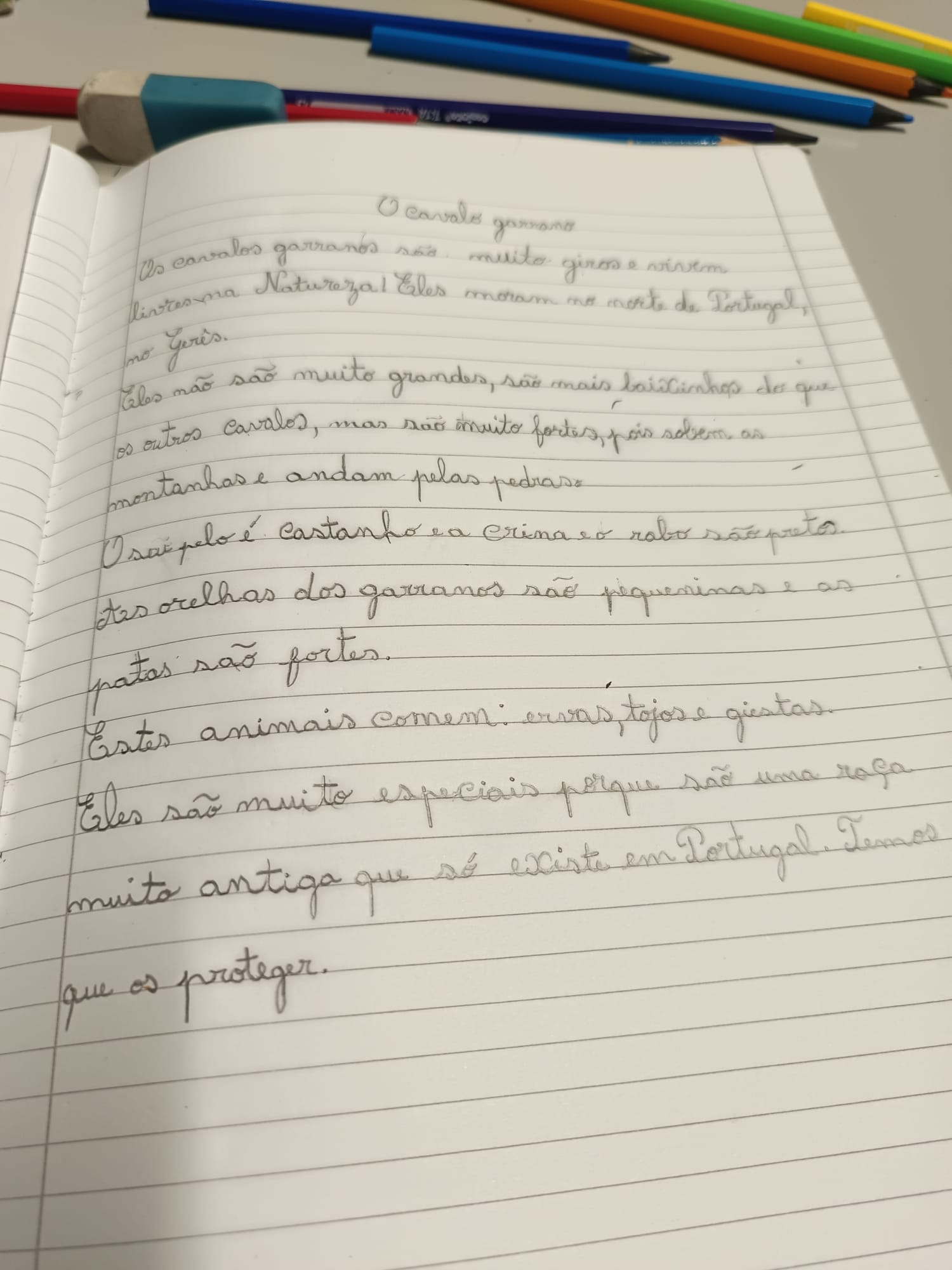Texto sobre os garranos concluído.