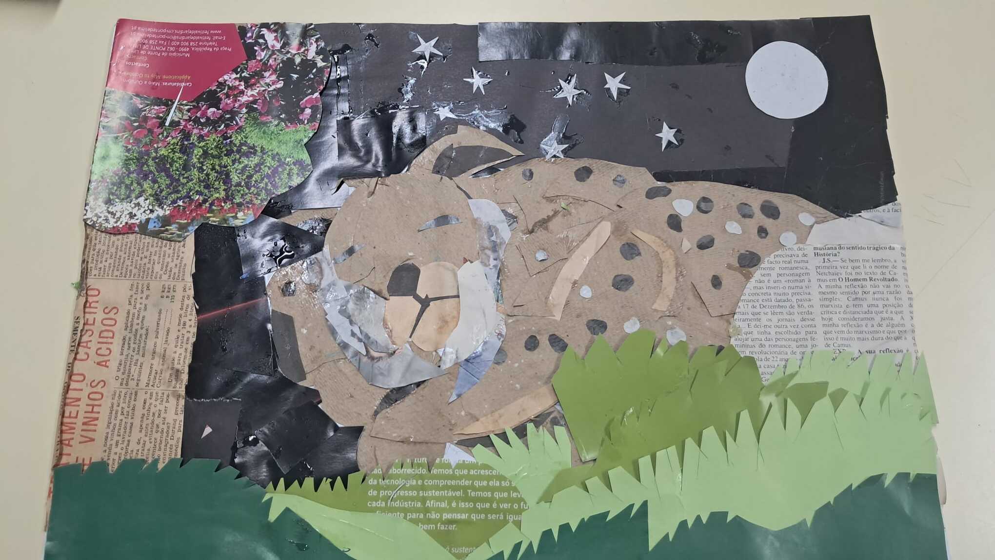 Collage Selecionada - O Lince Ibérico - Vista Geral 3